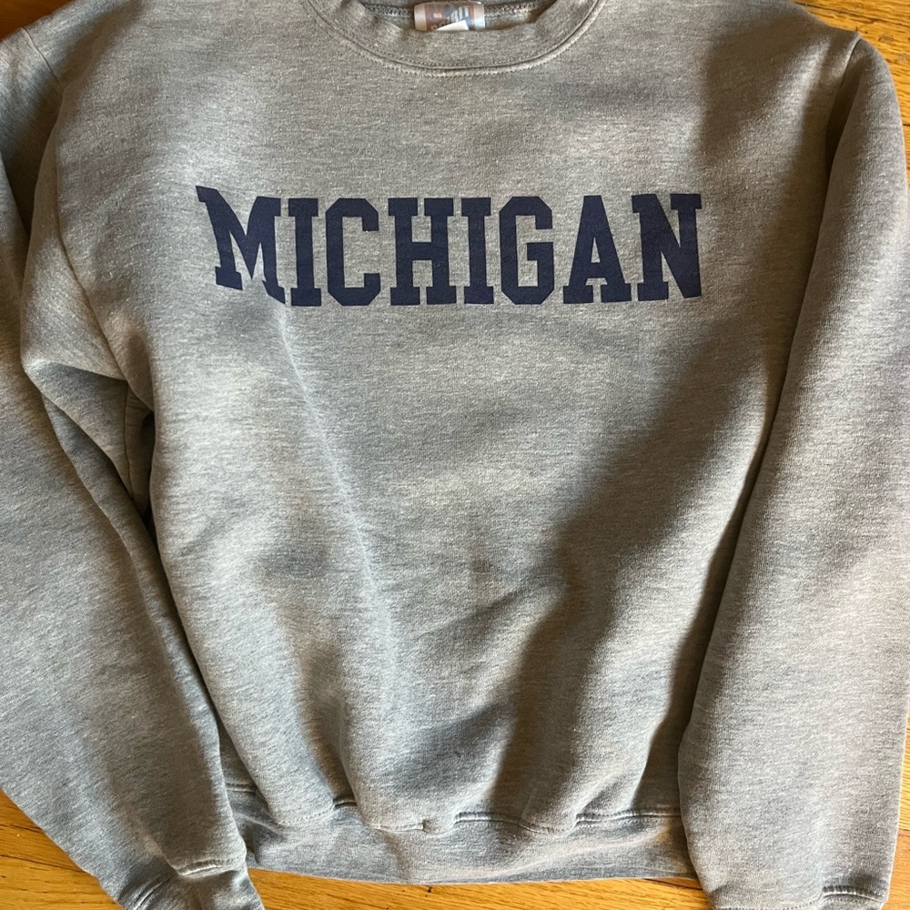 Gray Michigan crewneck
